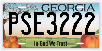 GA license plate PSE3222