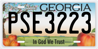 GA license plate PSE3223