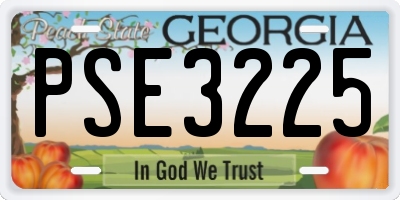 GA license plate PSE3225