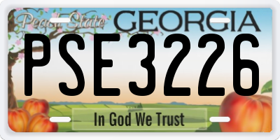 GA license plate PSE3226