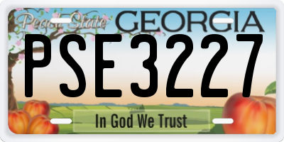 GA license plate PSE3227