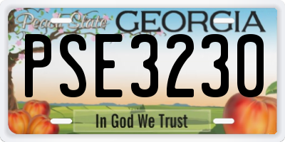 GA license plate PSE3230