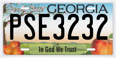 GA license plate PSE3232