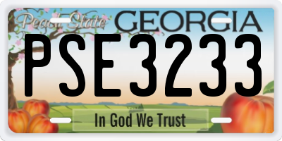 GA license plate PSE3233