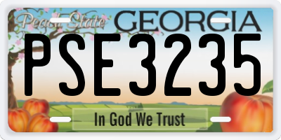 GA license plate PSE3235
