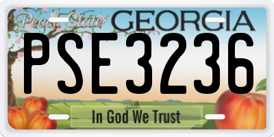 GA license plate PSE3236