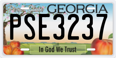 GA license plate PSE3237