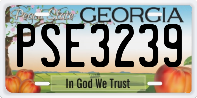GA license plate PSE3239