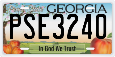 GA license plate PSE3240