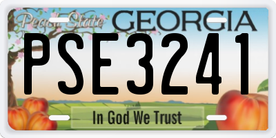 GA license plate PSE3241