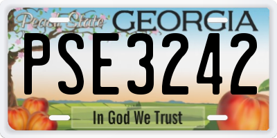 GA license plate PSE3242
