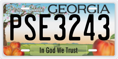 GA license plate PSE3243