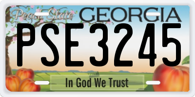 GA license plate PSE3245
