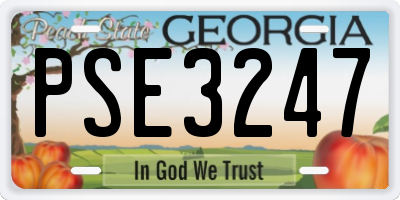 GA license plate PSE3247