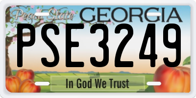 GA license plate PSE3249