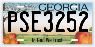 GA license plate PSE3252