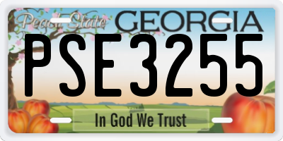 GA license plate PSE3255