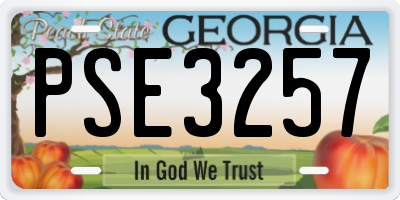 GA license plate PSE3257