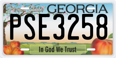GA license plate PSE3258