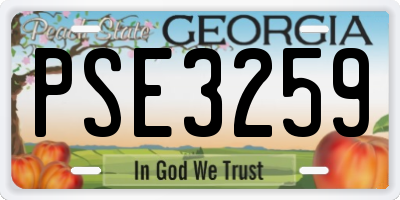 GA license plate PSE3259
