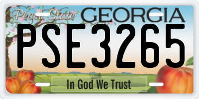 GA license plate PSE3265