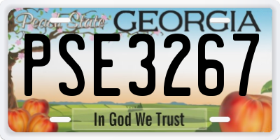 GA license plate PSE3267