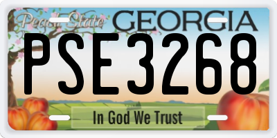 GA license plate PSE3268