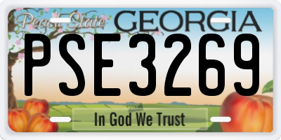 GA license plate PSE3269