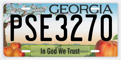 GA license plate PSE3270
