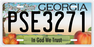 GA license plate PSE3271