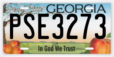 GA license plate PSE3273