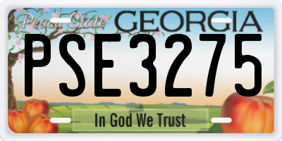 GA license plate PSE3275