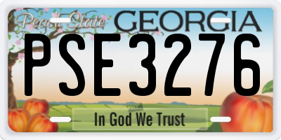 GA license plate PSE3276