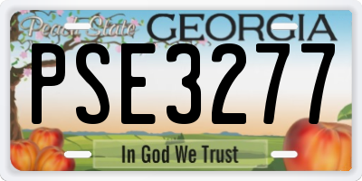 GA license plate PSE3277