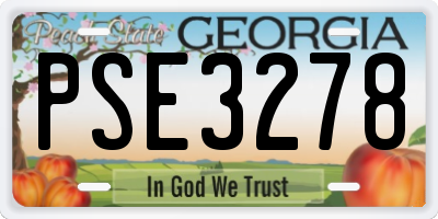 GA license plate PSE3278