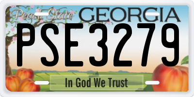 GA license plate PSE3279