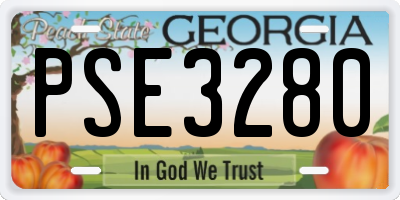 GA license plate PSE3280