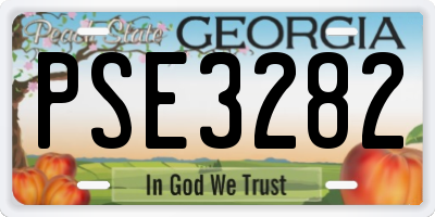 GA license plate PSE3282