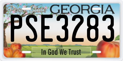 GA license plate PSE3283