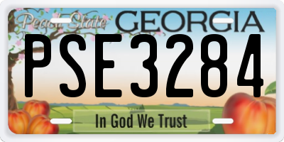 GA license plate PSE3284