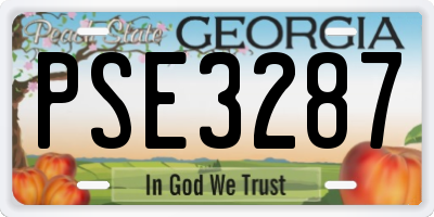GA license plate PSE3287