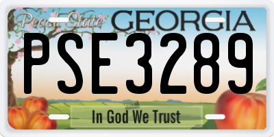 GA license plate PSE3289