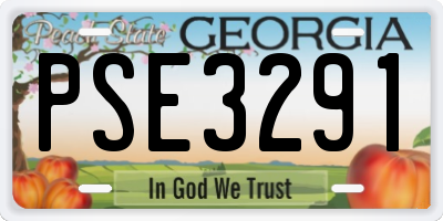 GA license plate PSE3291