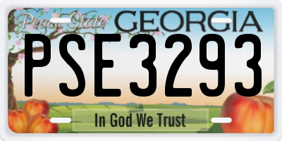 GA license plate PSE3293