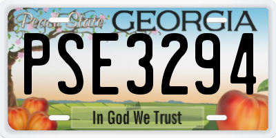 GA license plate PSE3294
