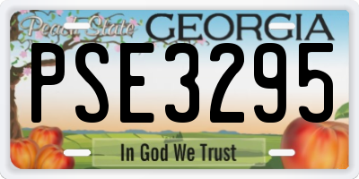 GA license plate PSE3295