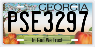 GA license plate PSE3297