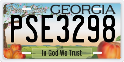 GA license plate PSE3298