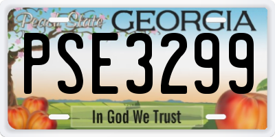 GA license plate PSE3299