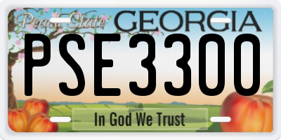 GA license plate PSE3300